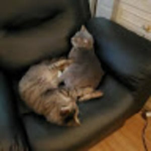 Meet your Posher, Gail